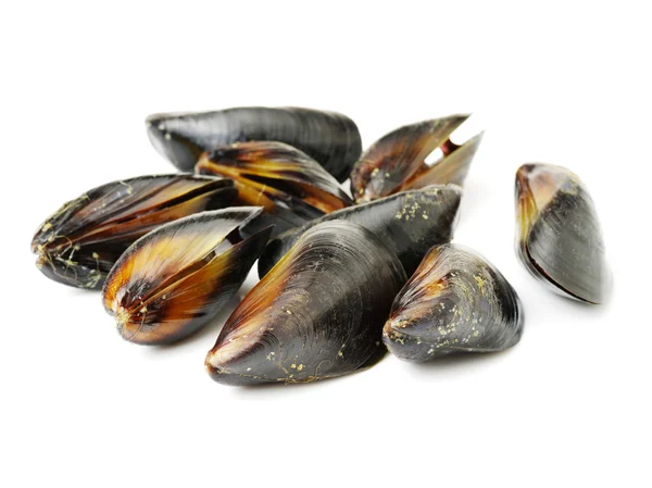 Cozze fresche su bianco — Foto Stock