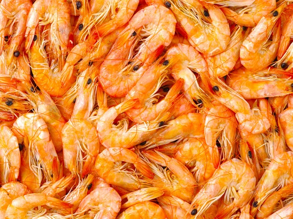 Lots of shrimps close up — Stock Photo, Image