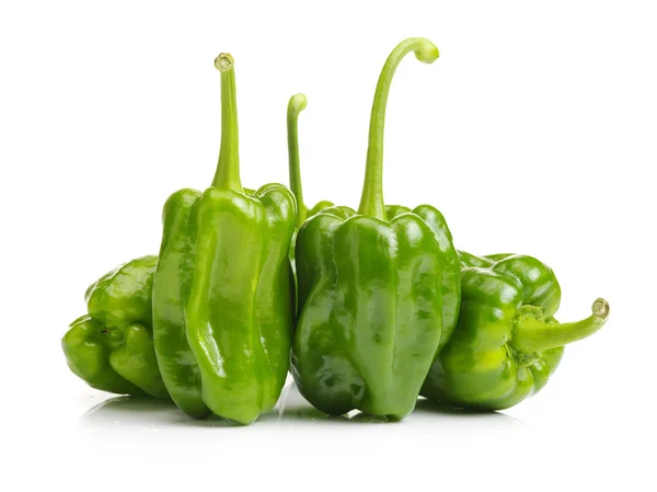 Frischer grüner Paprika (Paprika)) — Stockfoto