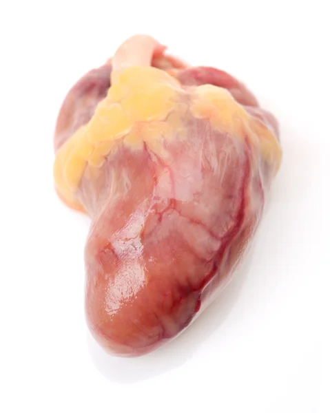 Chicken Heart close up — Stock Photo, Image