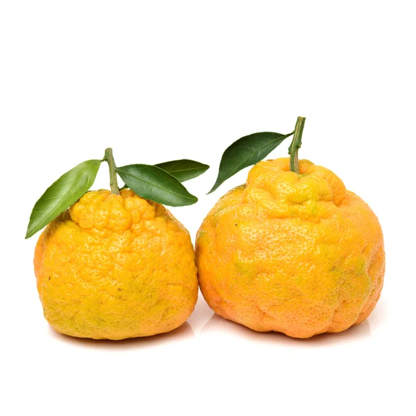 Lelijke tangerine op een wit — Stockfoto