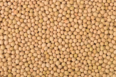 Kurutulmuş soya fasulye yığını