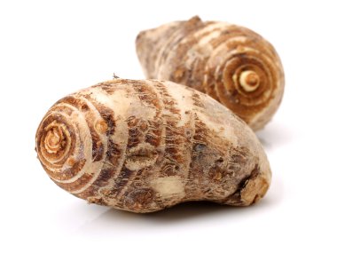 beyaz zemin üzerine Taro