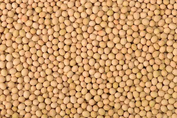 Kurutulmuş soya fasulye yığını