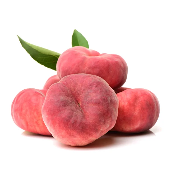 Nektarinka Nektarinka