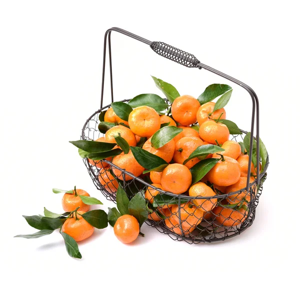 Fresh organic tangerine fruits with — Stock Photo, Image