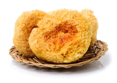 tremella fuciformis beyaz zemin üzerine