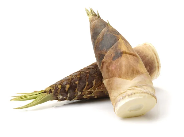 Bamboo shoot on the white — Stock Photo, Image