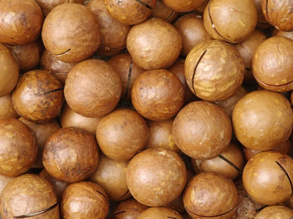 Nueces de macadamia de cerca — Foto de Stock