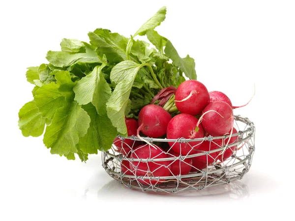 Fresh radish on white background — Stock Photo, Image