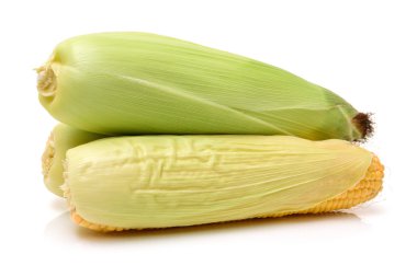 Üç taze corncobs