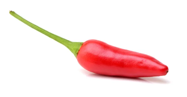 Piros chili paprika, fehér — Stock Fotó