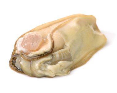 Beyaz arka plan üzerinde taze istiridye