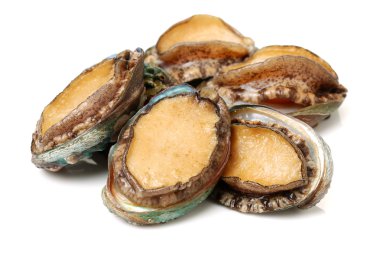 Beyaz üzerine ham abalones 