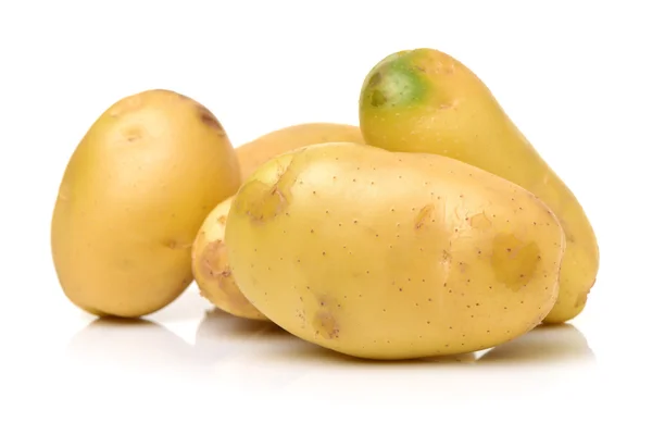 Nieuwe aardappel geïsoleerd — Stockfoto