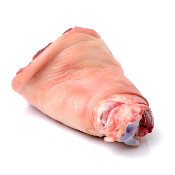 Ruwe varkensvlees been — Stockfoto