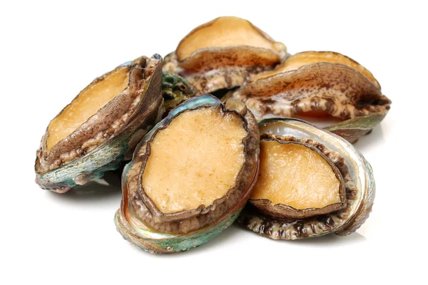 Beyaz üzerine ham abalones — Stok fotoğraf