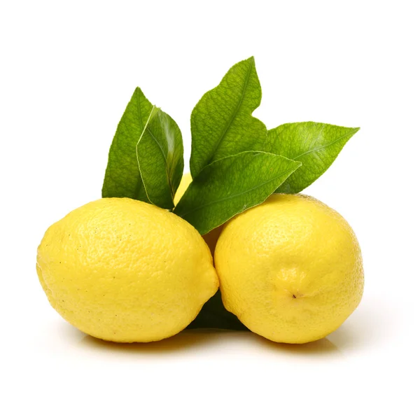 Спелые свежие лимоны — стоковое фото