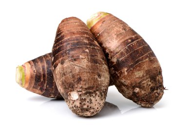 bir beyaz üzerine dört meşe palamutları 