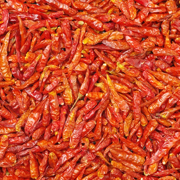 Close up of dried chili peppers — Stock Photo, Image