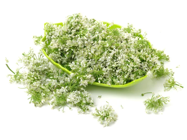 Pile of cut frozen dill — Stock Photo, Image