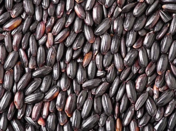 Close up of black rice background — Stock Photo, Image