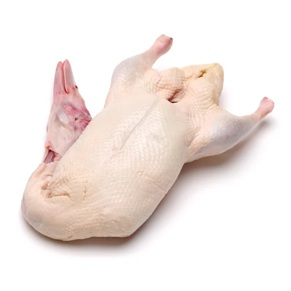 Raw goose isolated on white — Stock Photo, Image