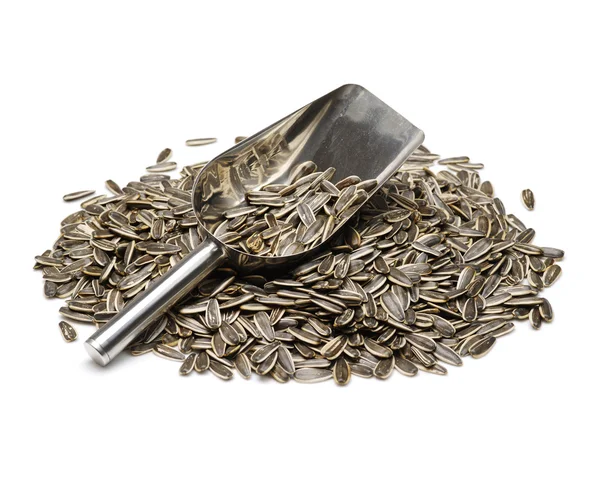 Sunflower seeds closeup — Stock Photo, Image