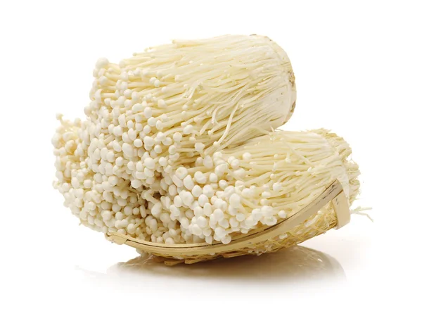 Natural sea sponge. Studio shot — Stock Photo, Image