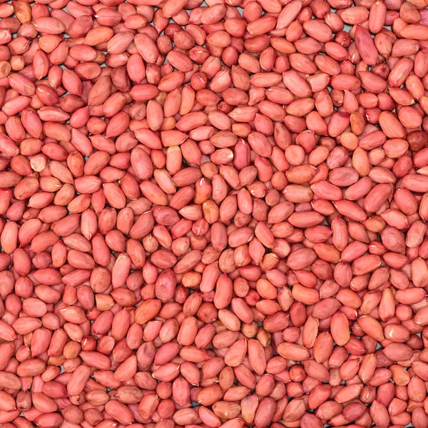 Peanut kernels close up — Stock Photo, Image