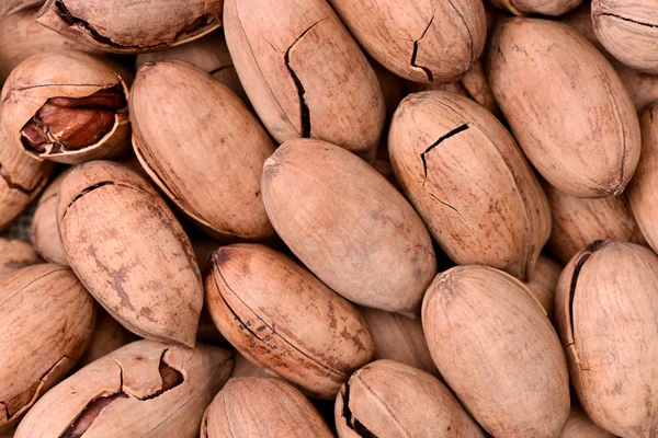 Pecan nuts in pile — Stock Photo, Image