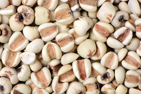 Kacang panggang dan asin — Stok Foto