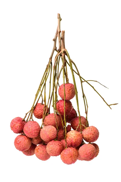 Frisk lychee (Litchi chinensis) isolerade — Stockfoto
