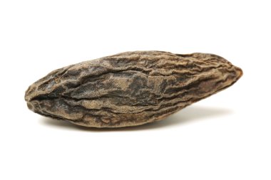 Batı diamondback çıngıraklı yılan (crotalus atrox).