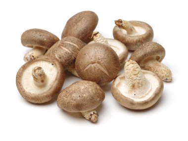 Beyaz bir arka plan üzerinde izole shiitake mantar