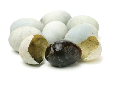 Beyaz arka plan üzerinde izole korunmuş ördek yumurta