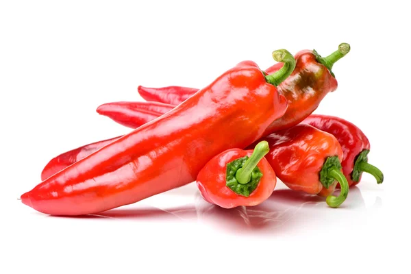 Due peperoni rossi su bianco — Foto Stock
