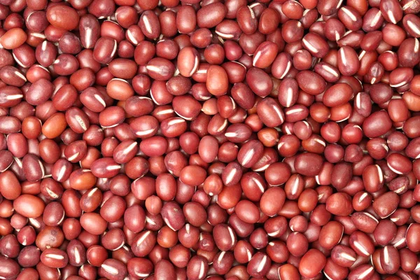 Red beans in flat for — Stock Photo, Image