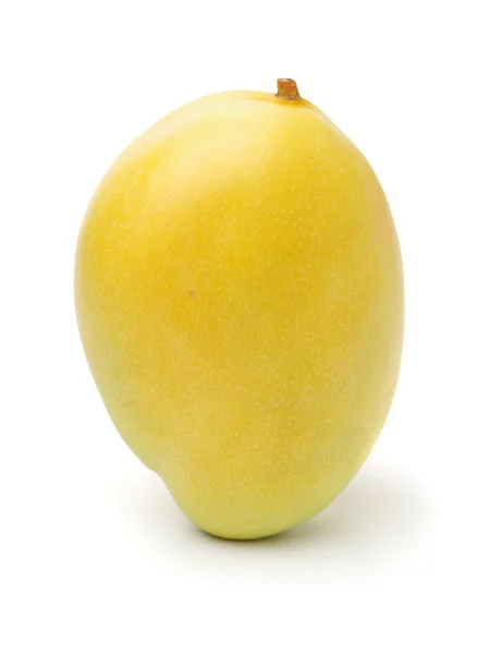 Frutto di mango isolato — Foto Stock