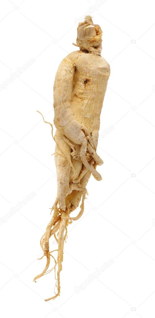 Ginseng root isolated on white background