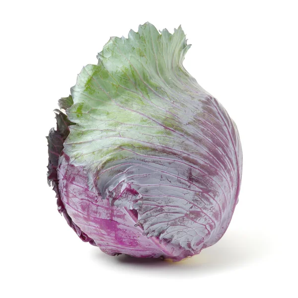 Purple Cabbages Isolated White Background — Stock Photo, Image
