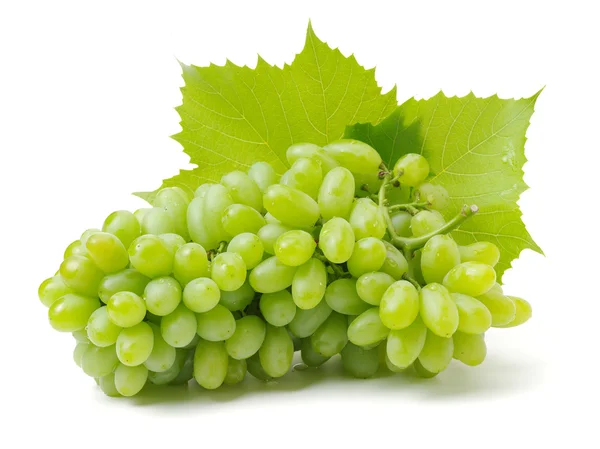 Bunch of green grapes — Stock Photo, Image