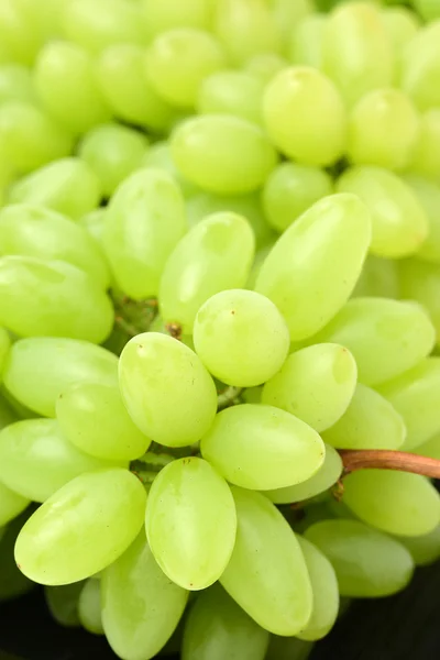 Bukiet zielonych winogron — Zdjęcie stockowe