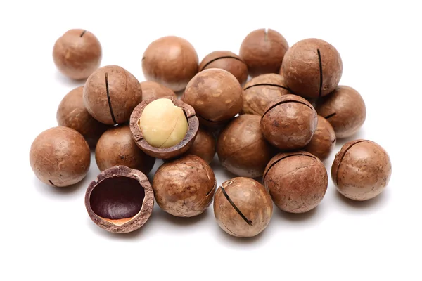 Macadamia nuts close up — Stock Photo, Image