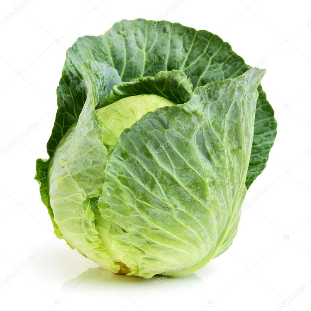 Green cabbage close up