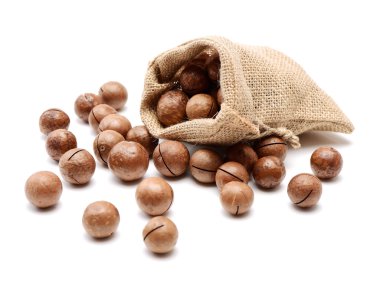 Macadamia fıstığı yakın çekim 