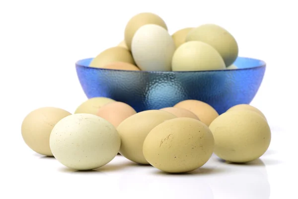 Zblízka vajec na bílém — Stock fotografie