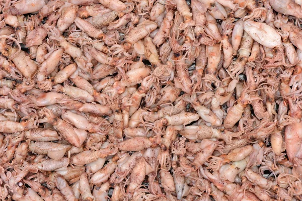 Calamars Pour Bébés Calmars Comme Arrière Plan — Photo