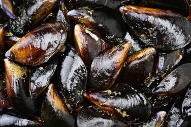 Buğulanmış Midye kabukları