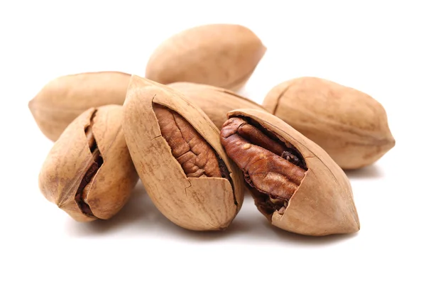 Pecan nuts in pile — Stock Photo, Image